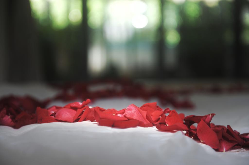 Zen Box House Hotel Dương Sóc Ngoại thất bức ảnh