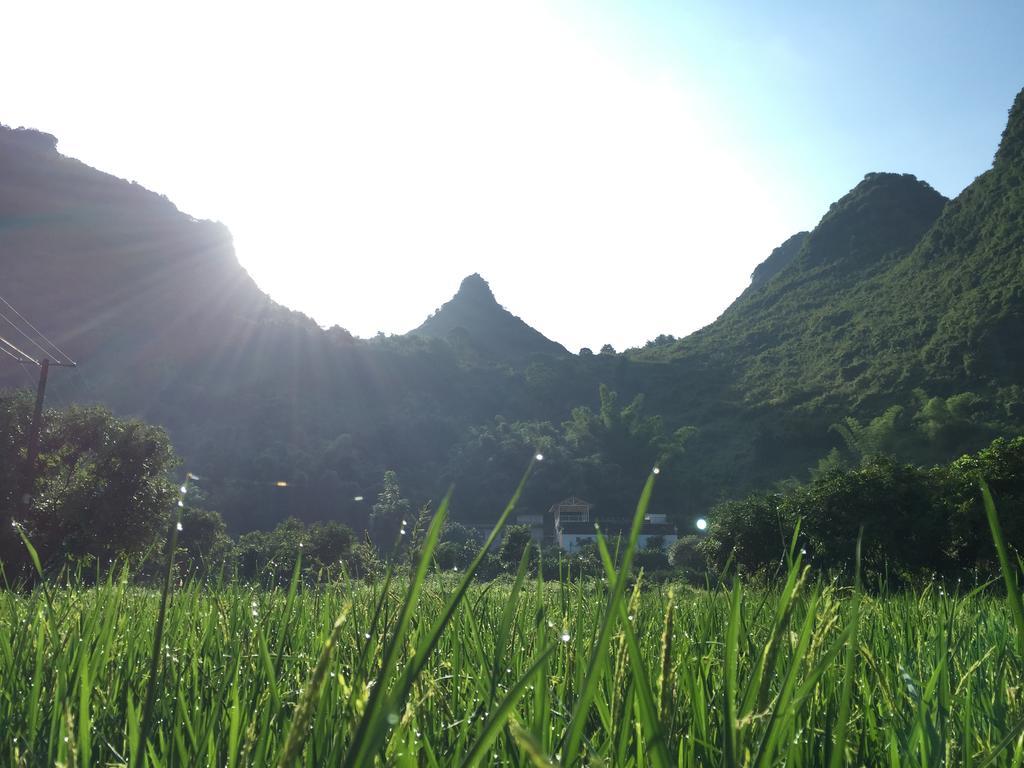 Zen Box House Hotel Dương Sóc Ngoại thất bức ảnh